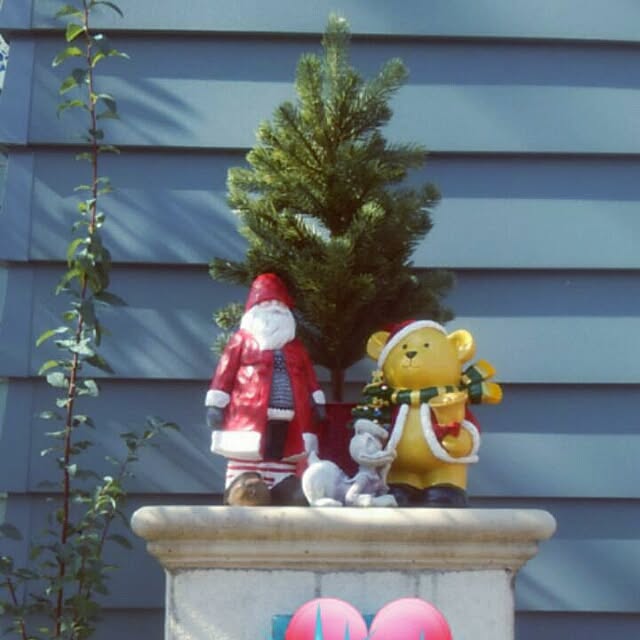 misora_caさんの実例写真