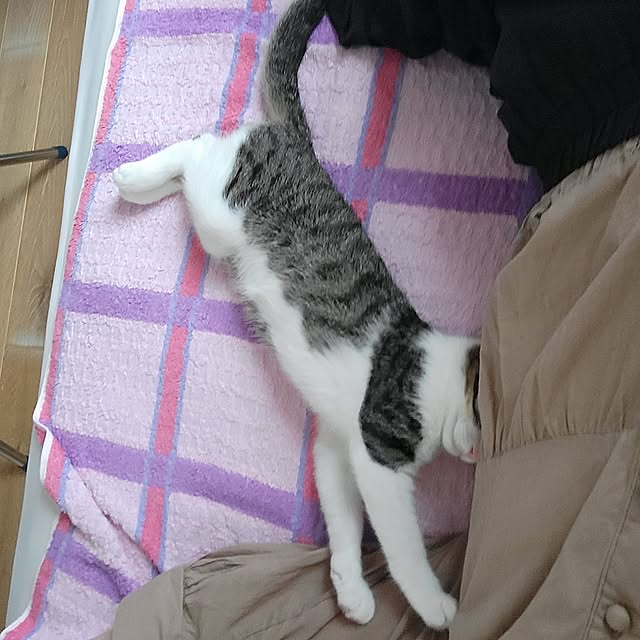 akimameさんの部屋