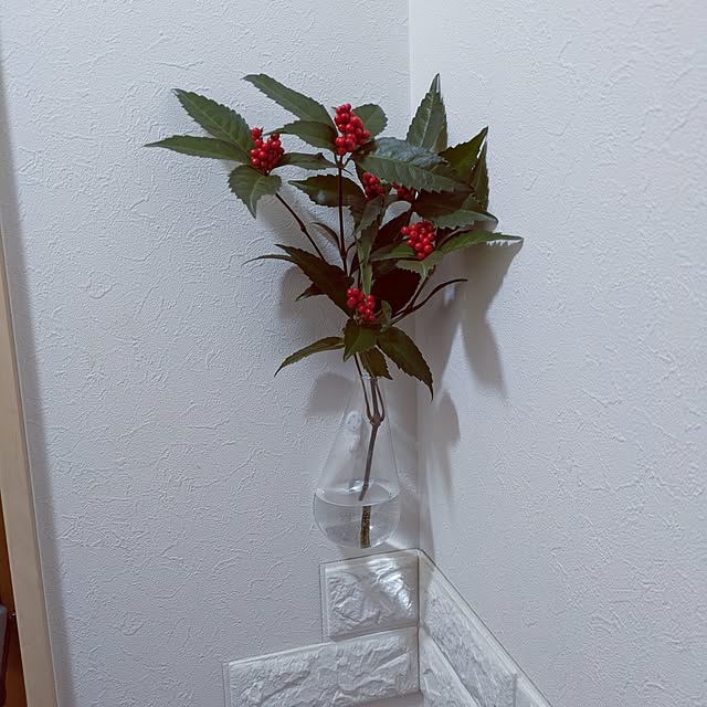 Shion+さんの部屋