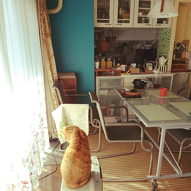 okyosan101さんの実例写真