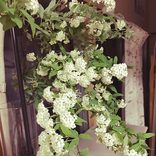 roseさんの実例写真