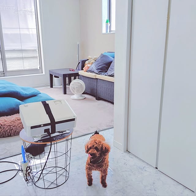 MOMOMAMAさんの実例写真