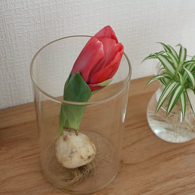 aya_blueさんの部屋