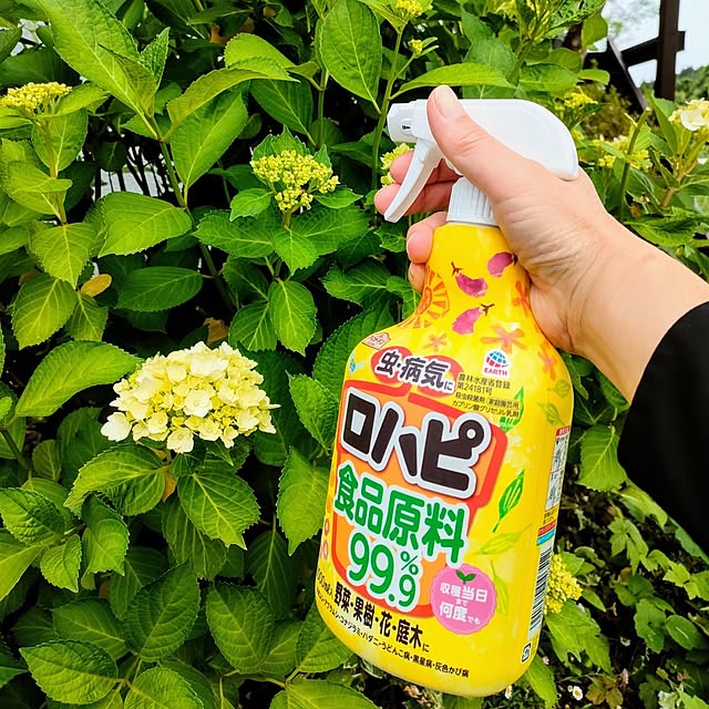 ai.happyplaceさんの実例写真