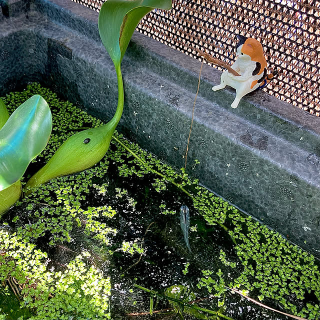 GowBooさんの実例写真