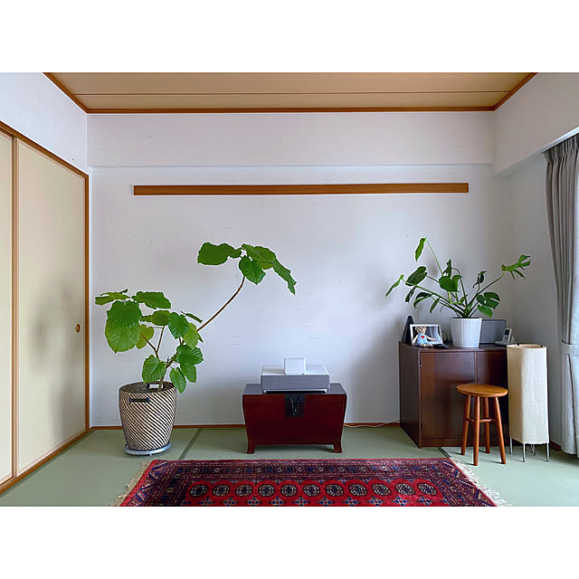 derazouさんの実例写真