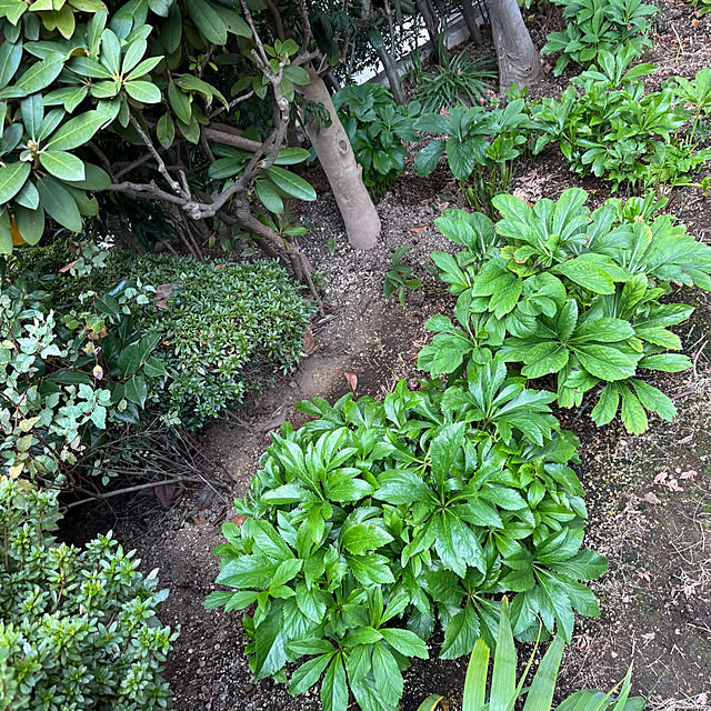 mamizaさんの部屋