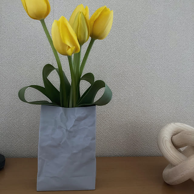 nepenthesさんの実例写真