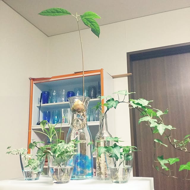 C-hiさんの実例写真