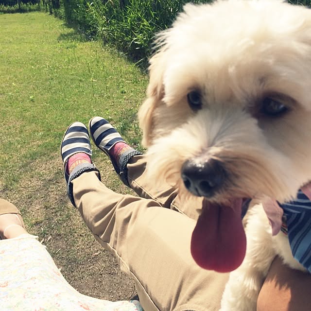 ichichiさんの実例写真
