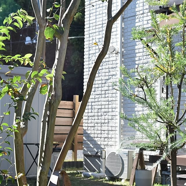 so-bokuさんの実例写真