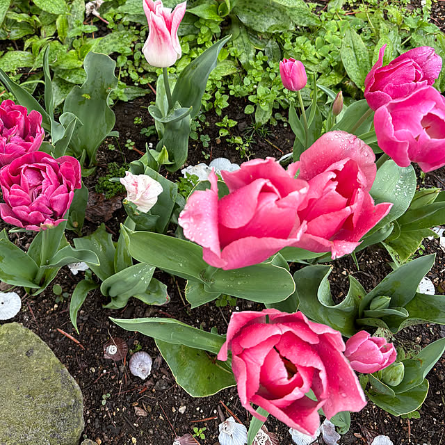 ChiCoさんの部屋