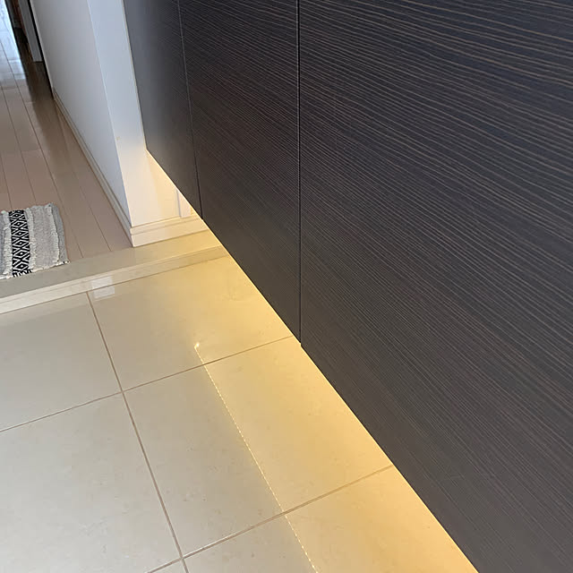 照明/DIY/玄関/入り口のインテリア実例 - 2022-08-27 20:07:17