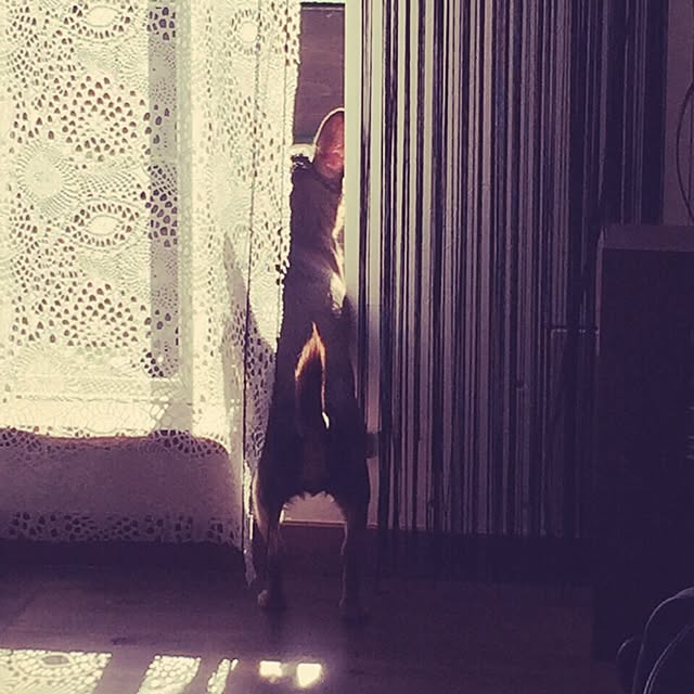ouchiresetさんの実例写真