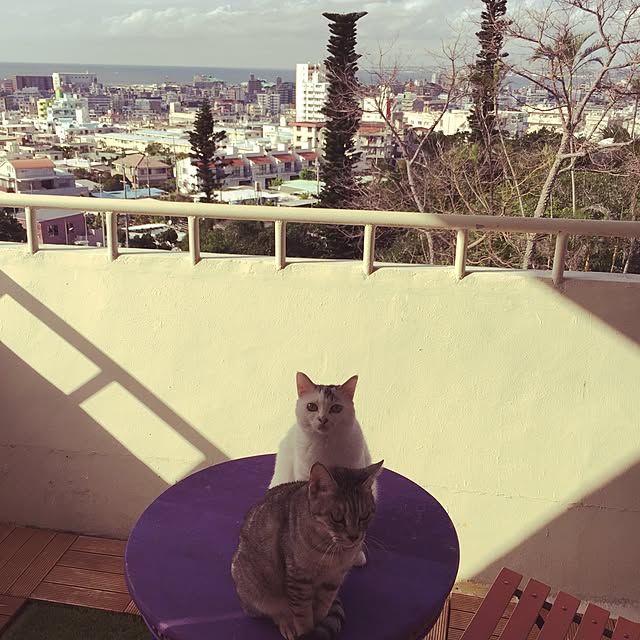 tomone.coさんの実例写真
