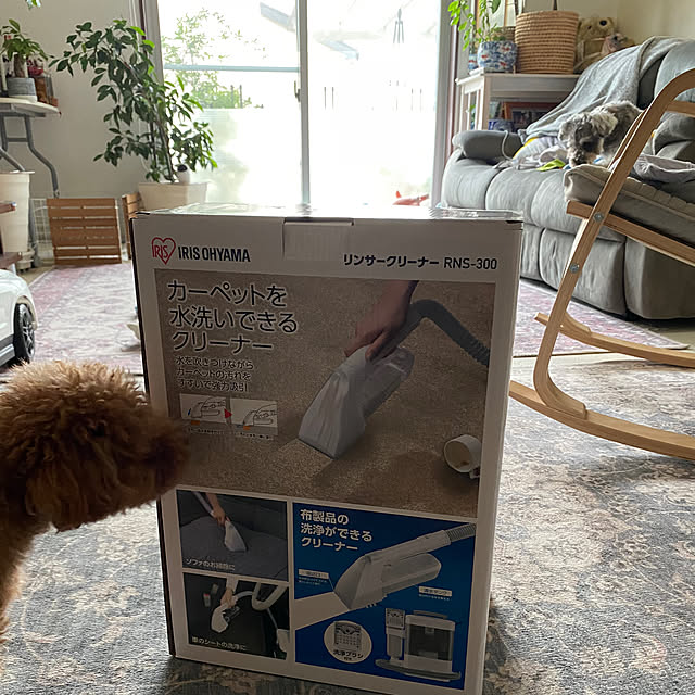 alchoさんの部屋