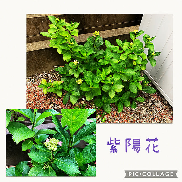 m.mさんの実例写真
