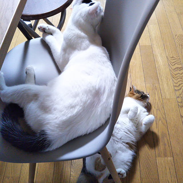 yukieさんの実例写真