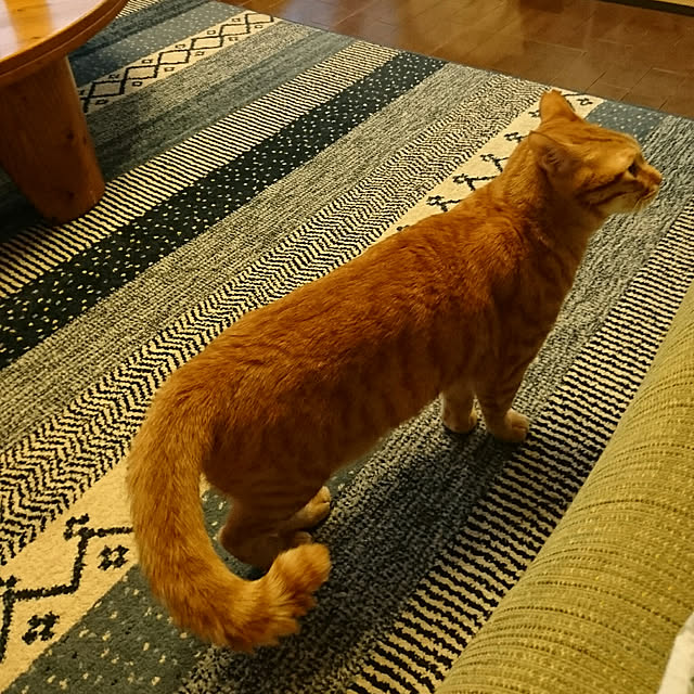 okyosan101さんの実例写真