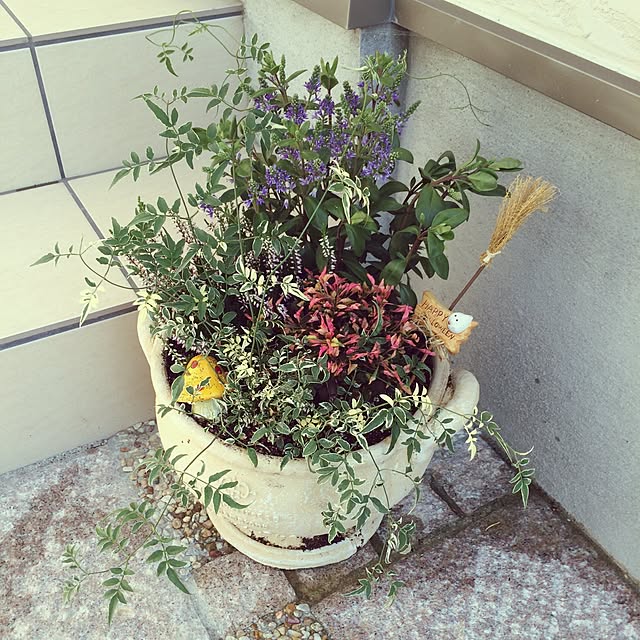 K.homeさんの実例写真