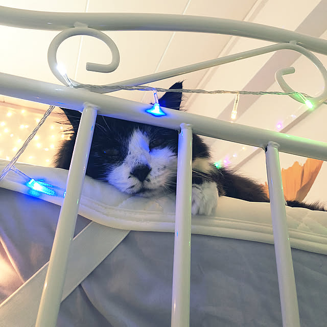 kanaさんの実例写真