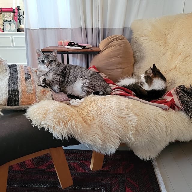 neoさんの実例写真