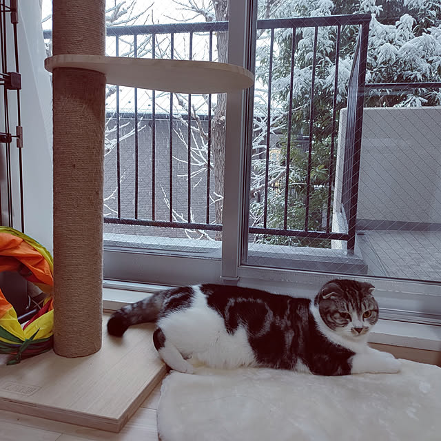 Karinさんの実例写真