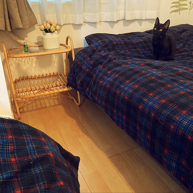 lim_nekoさんの実例写真