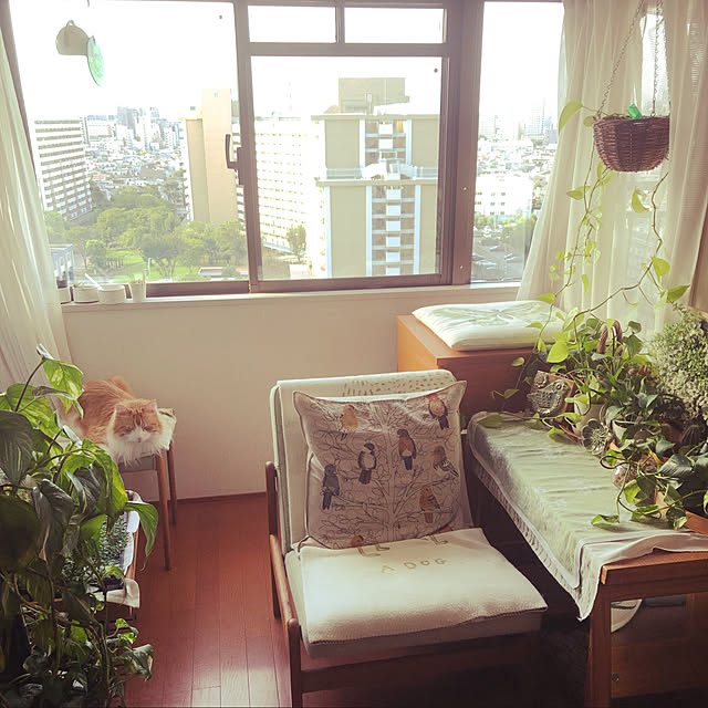 uchidaizuさんの実例写真