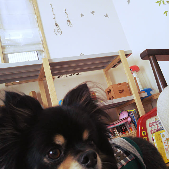 asa.haruaoさんの実例写真