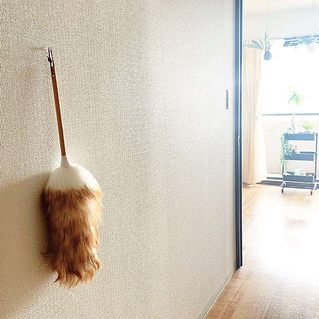 sunさんの実例写真
