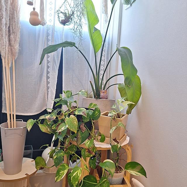 otokiさんの部屋