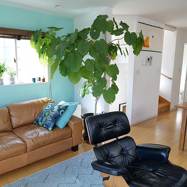 UWAさんの部屋