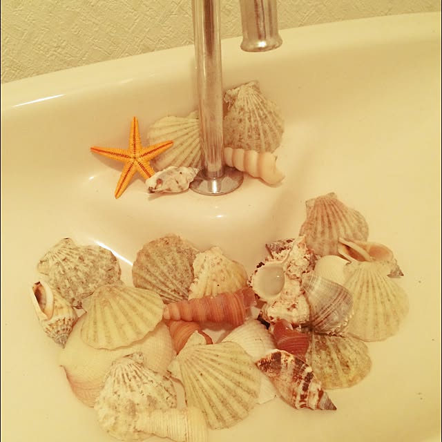 emiさんの実例写真