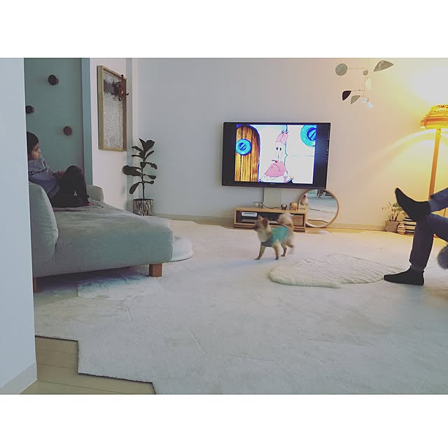 haruhinaさんの実例写真
