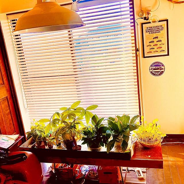 shingoさんの部屋