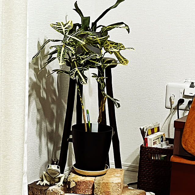 部屋全体のインテリア実例 - 2023-03-05 21:49:08