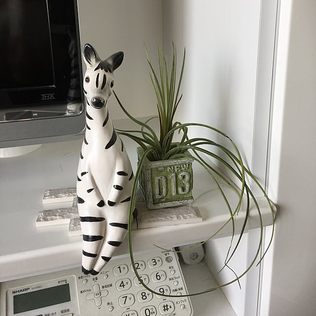nadesikoさんの実例写真