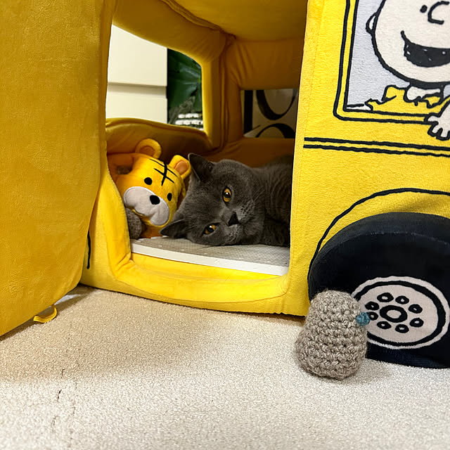 kittyさんの部屋