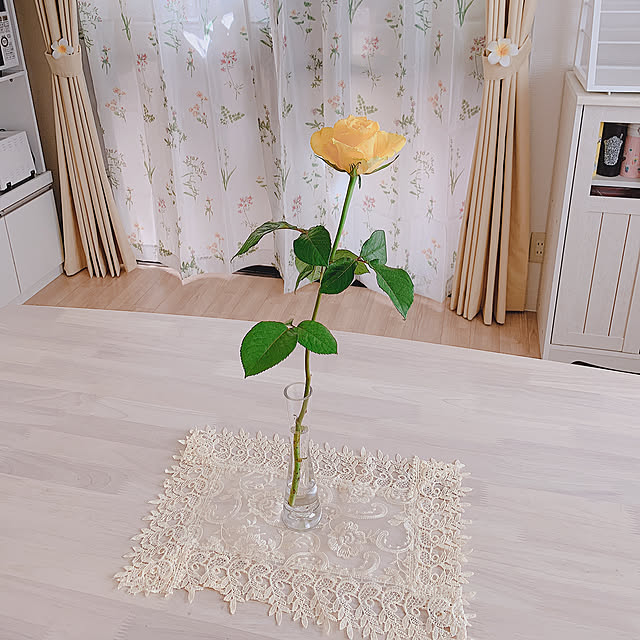 yellowbabyさんの実例写真