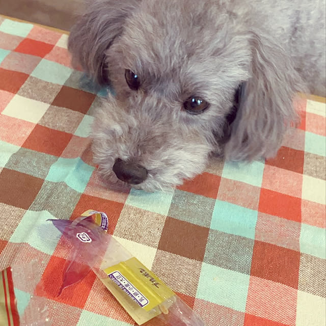 coochanさんの部屋