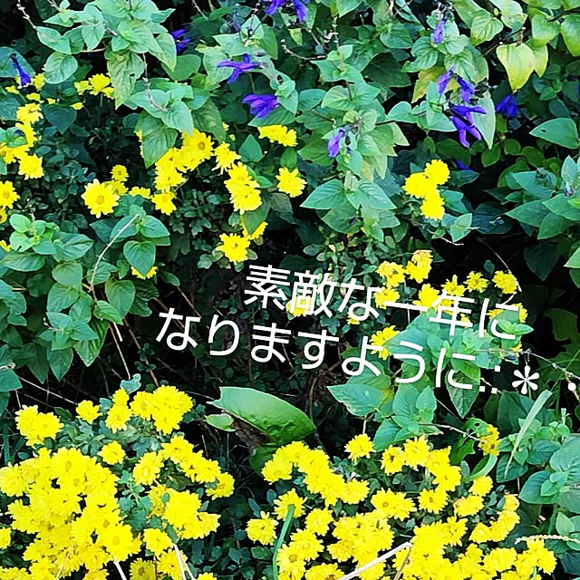 katさんの部屋