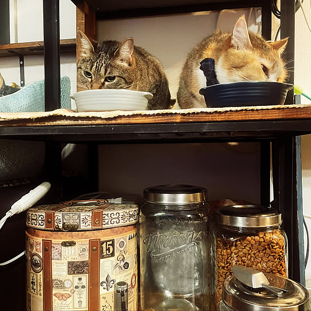 cooさんの部屋