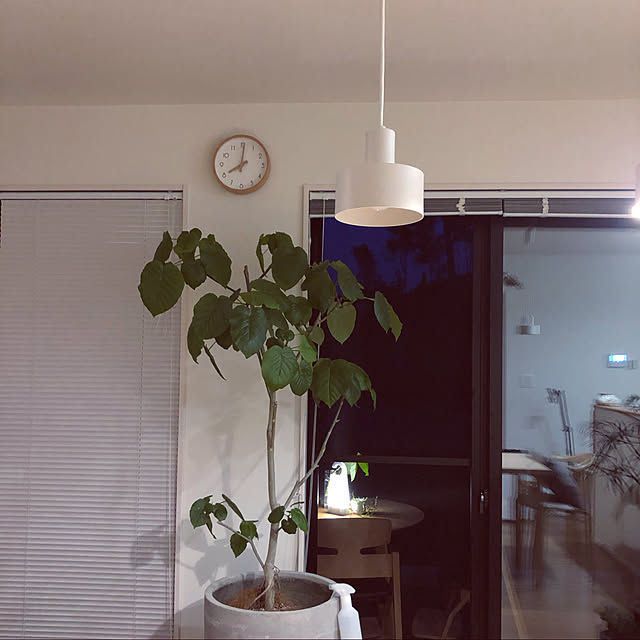 huさんの実例写真