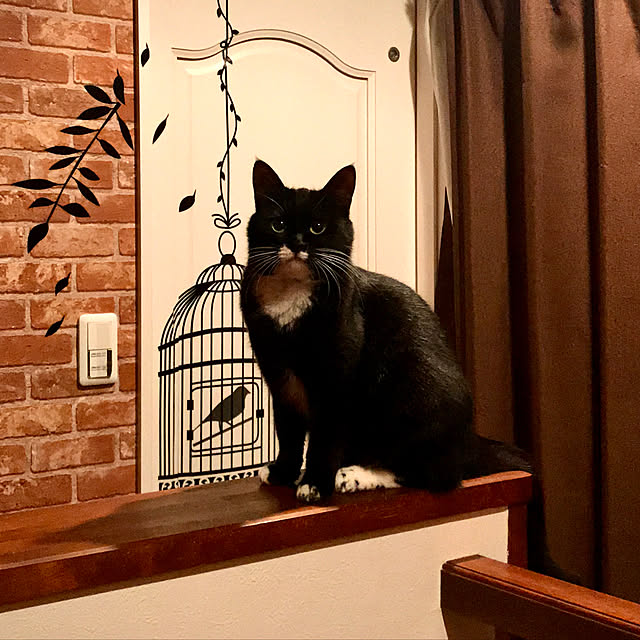 butachanさんの実例写真