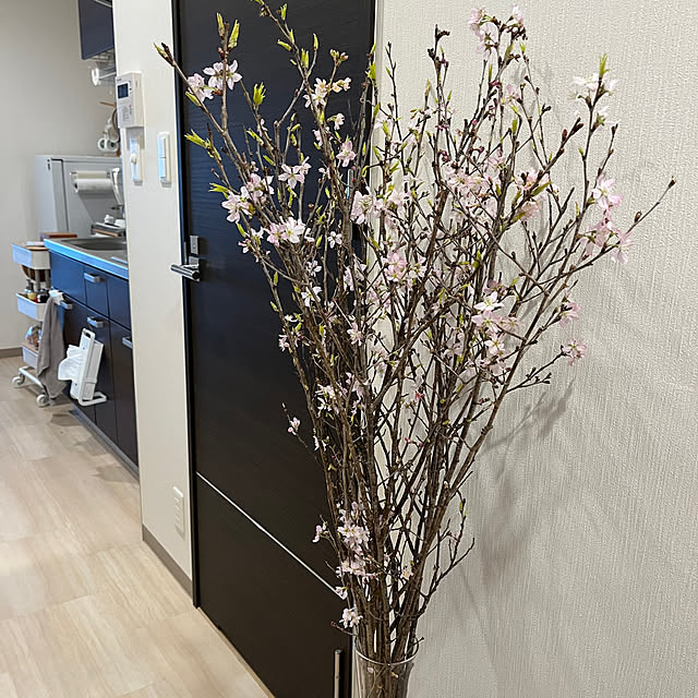 masa_0204さんの実例写真