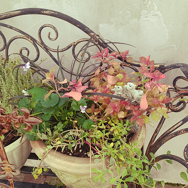 AYUKOさんの実例写真