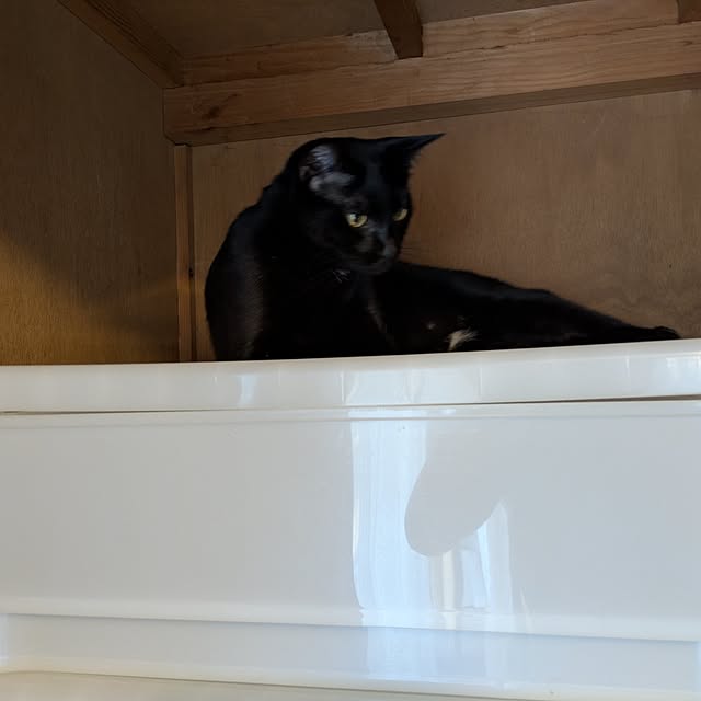 asaさんの部屋