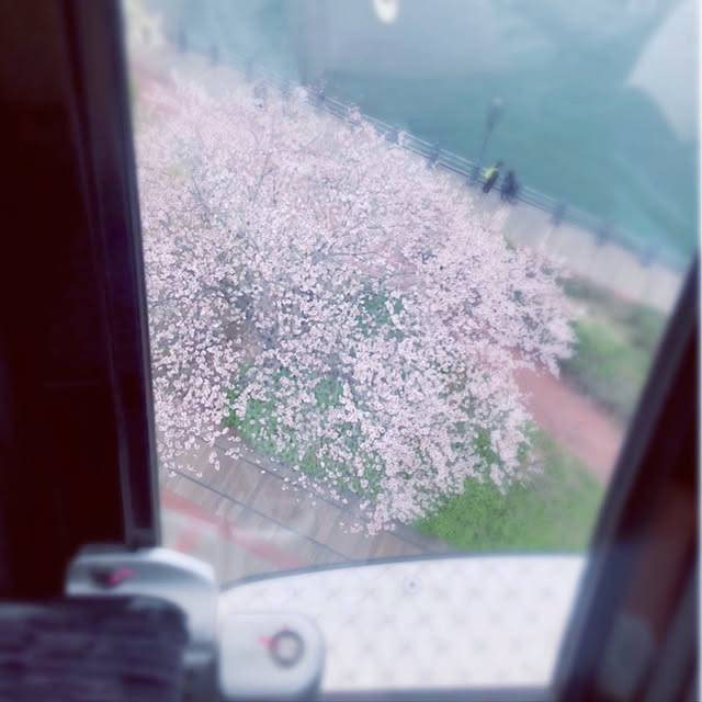 chisaさんの実例写真