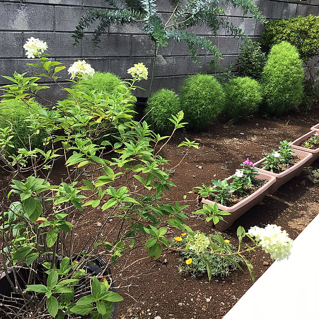 houenさんの部屋
